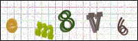 Verificación de la imagen