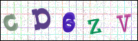Verificación de la imagen