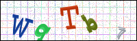 Verificación de la imagen