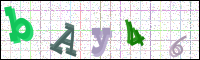 Verificación de la imagen