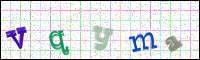 Verificación de la imagen