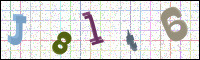 Verificación de la imagen
