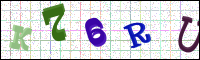 Verificación de la imagen