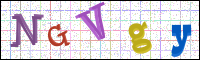 Verificación de la imagen