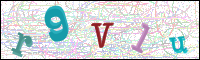 Verificación de la imagen