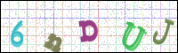 Verificación de la imagen