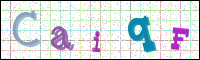 Verificación de la imagen