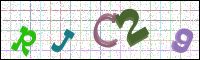 Verificación de la imagen