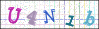 Verificación de la imagen