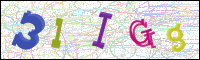 Verificación de la imagen