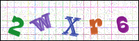 Verificación de la imagen