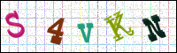 Verificación de la imagen