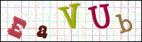 Verificación de la imagen