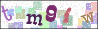 Verificación de la imagen