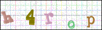 Verificación de la imagen