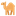​​​​​​​​​​Camello